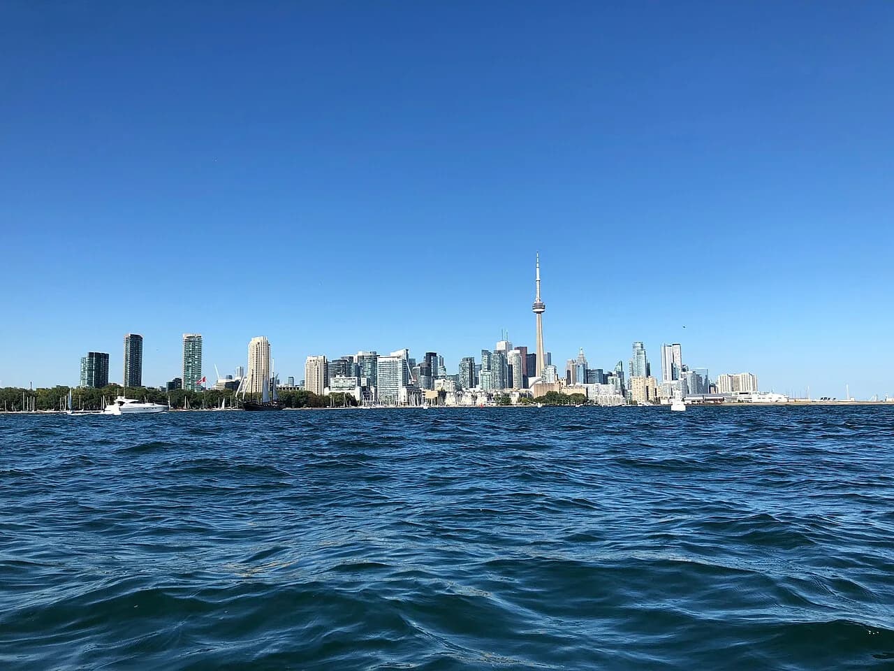 Homes for rent in Downtown, Toronto, Ontario