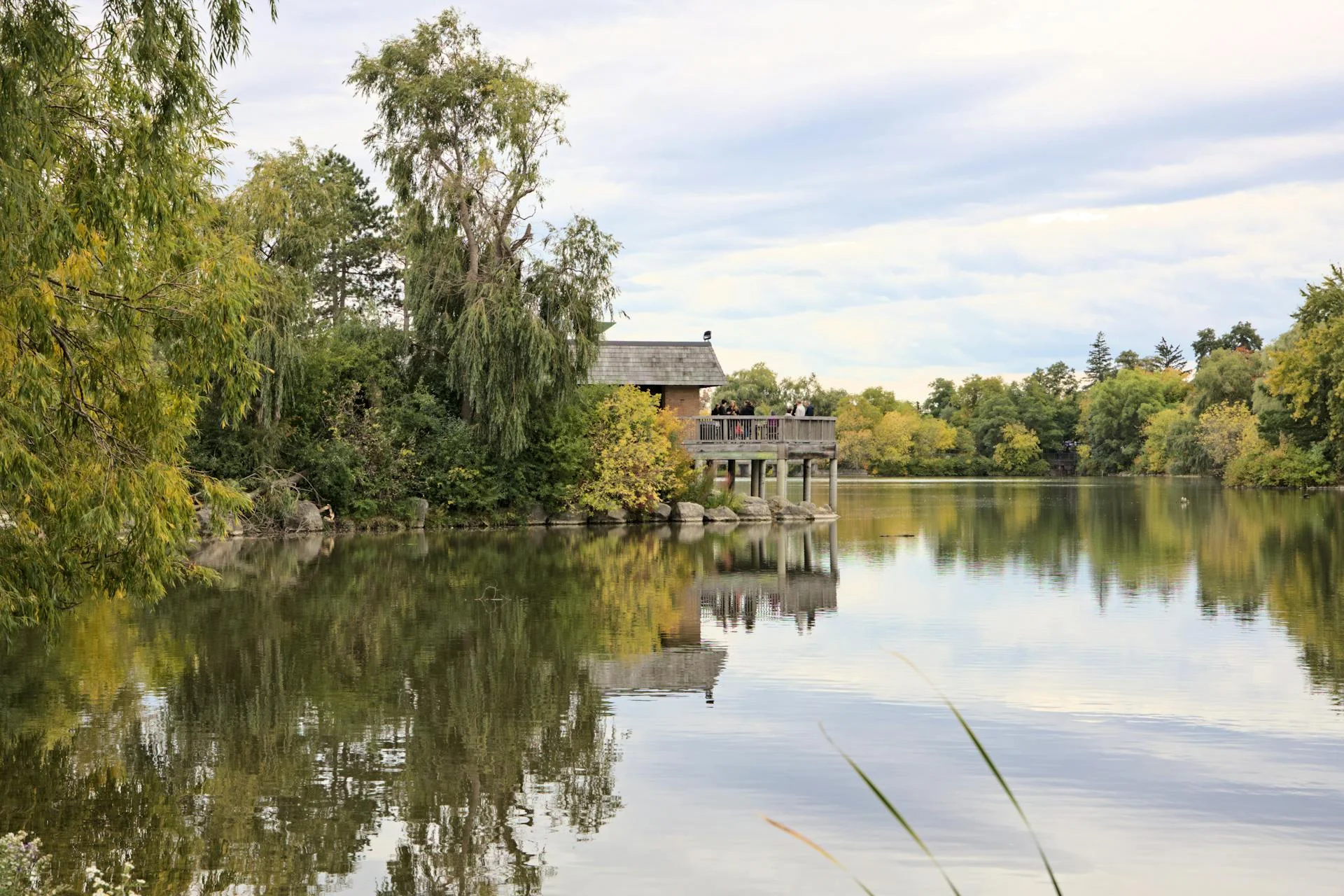 Maisons à vendre à Markham
