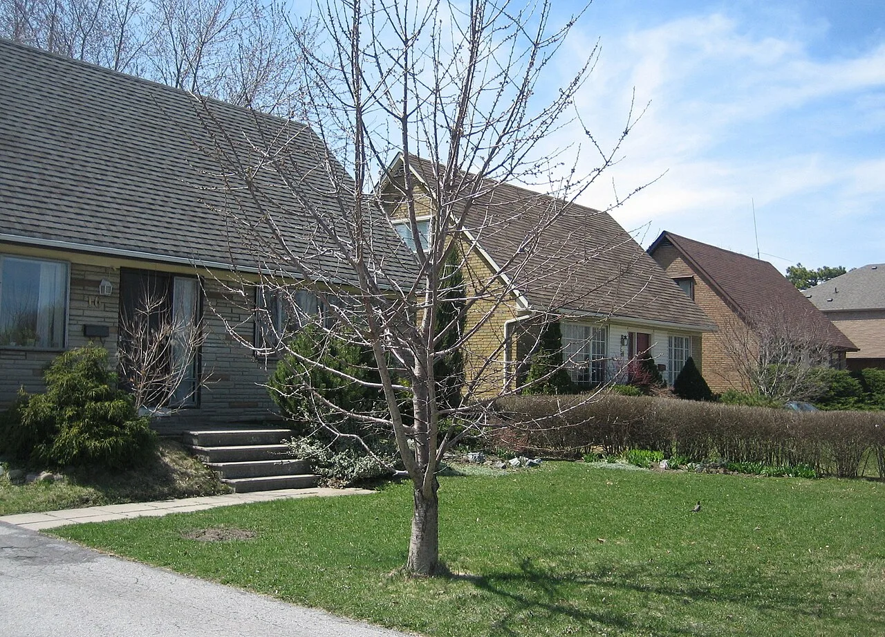 Houses for rent in Don Mills